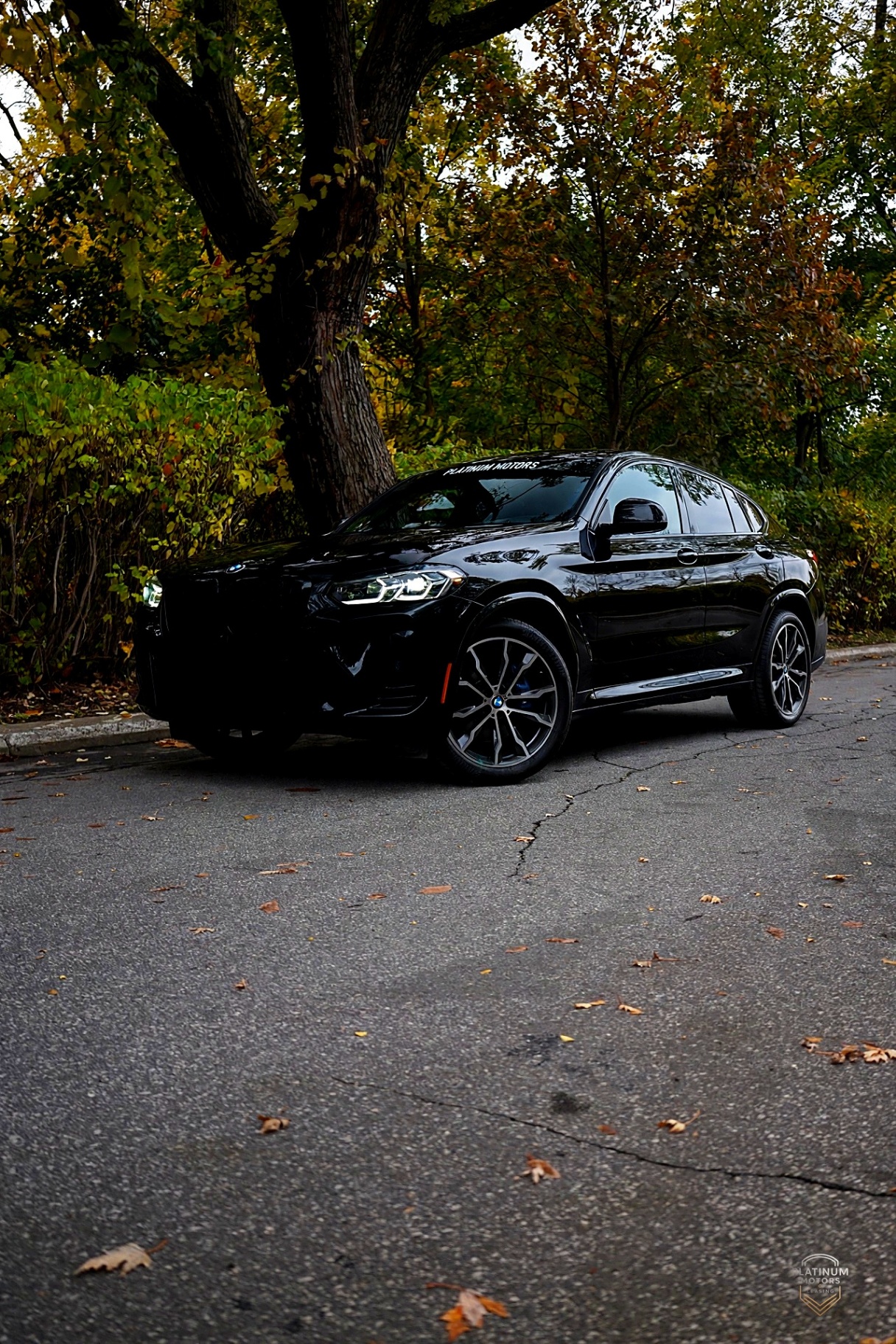 2023 BMW X4