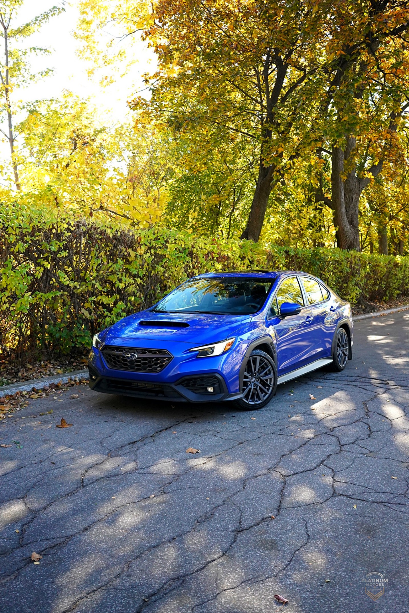 2024 Subaru WRX