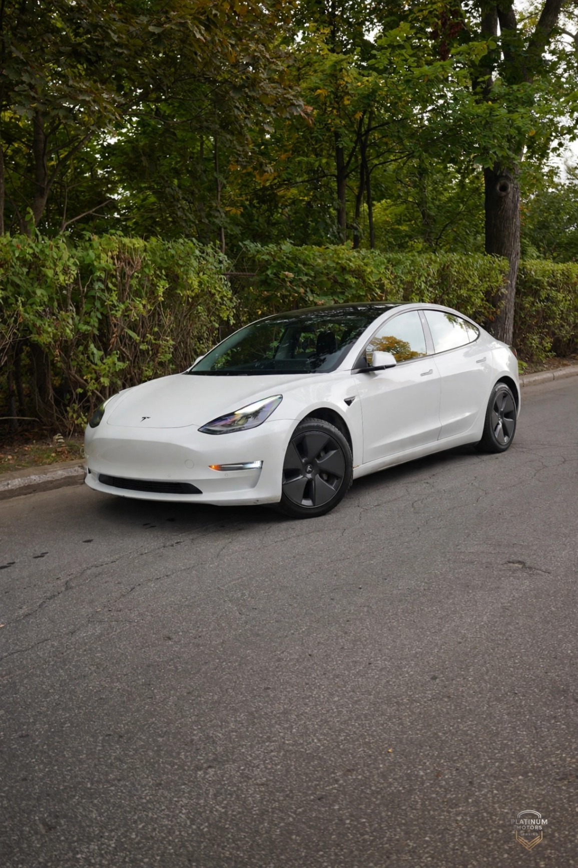 2021 Tesla 3